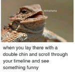 Double Chin Lizard meme.png