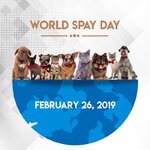 wsd World-Spay-Day-1.jpg