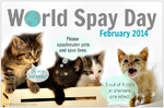 wsd World-Spay-Day-1.png