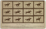 Eadweard_Muybridge-Sallie_Gardner_1878.jpg