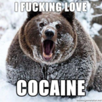 bear loves cocaine.png