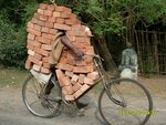 bike_of_bricks.jpg