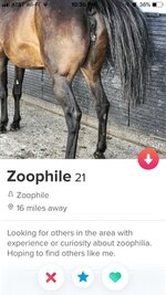 Zoophilia telegram. Zoophile Flag. Zoophiles в телеграмм. Zoophile мемы.