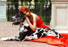 61641597-young-beautiful-girl-in-a-red-dress-with-a-big-dog.jpg