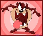 tasmanian devil.jpg