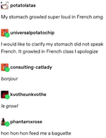 french stomach.png