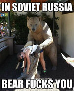 russian-bears-horny.jpg