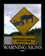 100412-moose.jpg