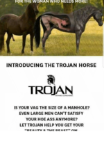 for-the-woman-who-needs-more-introducing-the-trojan-horse-25142644.png