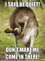 Dont-Make-Me-Come-In-There-Funny-Kangaroo-Meme.jpg