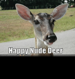 thumb_happy-nude-deer-icanhascheezeurger-oom-happy-nude-deer-cheezburger-50594183.png