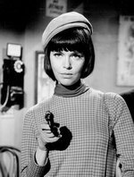 400px-Barbara_Feldon_Get_Smart_1966.jpg