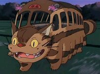 catbus.jpg