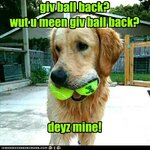 giv-ball-back-wut-u-meen-giv-ball-back-deyz-mine.jpeg