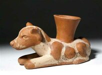 moche-spotted-dog.jpg