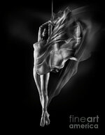 artistic-nude-black-and-white-photo-of-woman-suspended-with-bond-awen-fine-art-prints.jpg