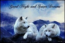 cbfbf740c4e94fae24c0fd49f7f9e4b2--good-night-wolves.jpg