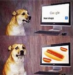 Dog-searching-hot-dogs-on-Google-meme-6482.jpg