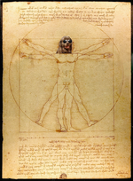 the vitruvian floof.png