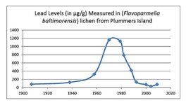 Lead-in-Lichen-on-Plummers-Island_960.jpg