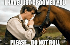 person-ihave-just-groomed-please-do-not-roll.png