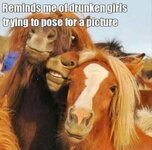 Reminds-Me-Of-Drunken-Girls-600x595.jpg