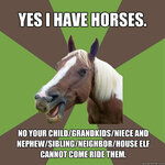 Yes-I-have-Horses-Meme.jpg