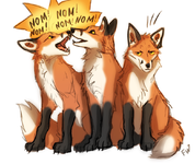 flashlioness_adorablefoxes.png