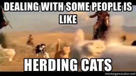 dealing-with-some-people-is-like-herding-cats.jpg