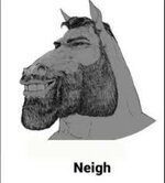 neigh.jpg