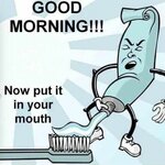 Funny-Toothpaste-Stupid-Picture.jpg