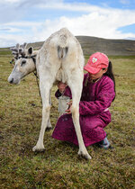 Mongolia-MNG-140623-195819-color.jpg