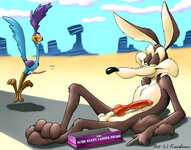 50311 - Karabiner Looney_Tunes Roadrunner Wile_E_Coyote.jpg