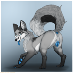 1530223219.ennismore_bluepawzwolf_solo_c_fa.png