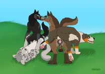 1551336044.dirty.paws_1550864765.digitoxici_digi_and_the_dogs.png