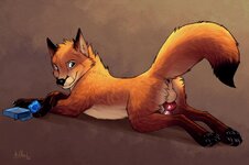 anchee_everybodyisgayforfox.jpg