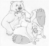 1519156105.dirty.paws_1518842124.paper-wings_dralnudpbear_fa.jpg