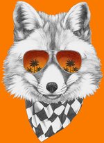 Sunglassesfox.jpg