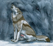 heatherwolf_howling.jpg