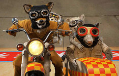 Fantastic Mr. Fox on motorcycle - Copy.jpg