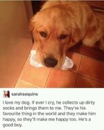 wholesome-meme-of-a-golden-retriever-holding-a-dirty-sock-in-his-mouth-when-his-owner-is-sad.jpeg