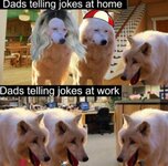 WholesomeMemes-8-They-Swear-Theyre-Hilarious72-1.jpg