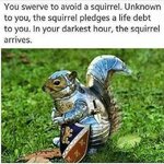 squirrel-58d3e50e5f9b58468324e115.jpg