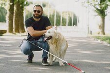 guide-dog-helping-blind-man-city-handsome-blind-guy-have-rest-with-golden-retriever-city_1157-...jpg