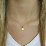 Gold Paw Print Necklace -Tiny Gold Paw Print Necklace - Paw Print Charm-Cat Dog Lovers Jewelr...jpeg