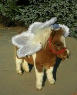 miniature-angel-horsey.jpeg