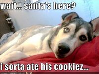 wait-santas-here-i-sorta-ate-his-cookiez.jpg