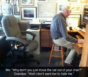 cat-in-chair-meme-about-grandpa.jpg