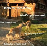 dog-and-deer-meeting-meme.jpg