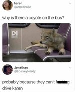 coyote-on-the-bus-karen.jpg